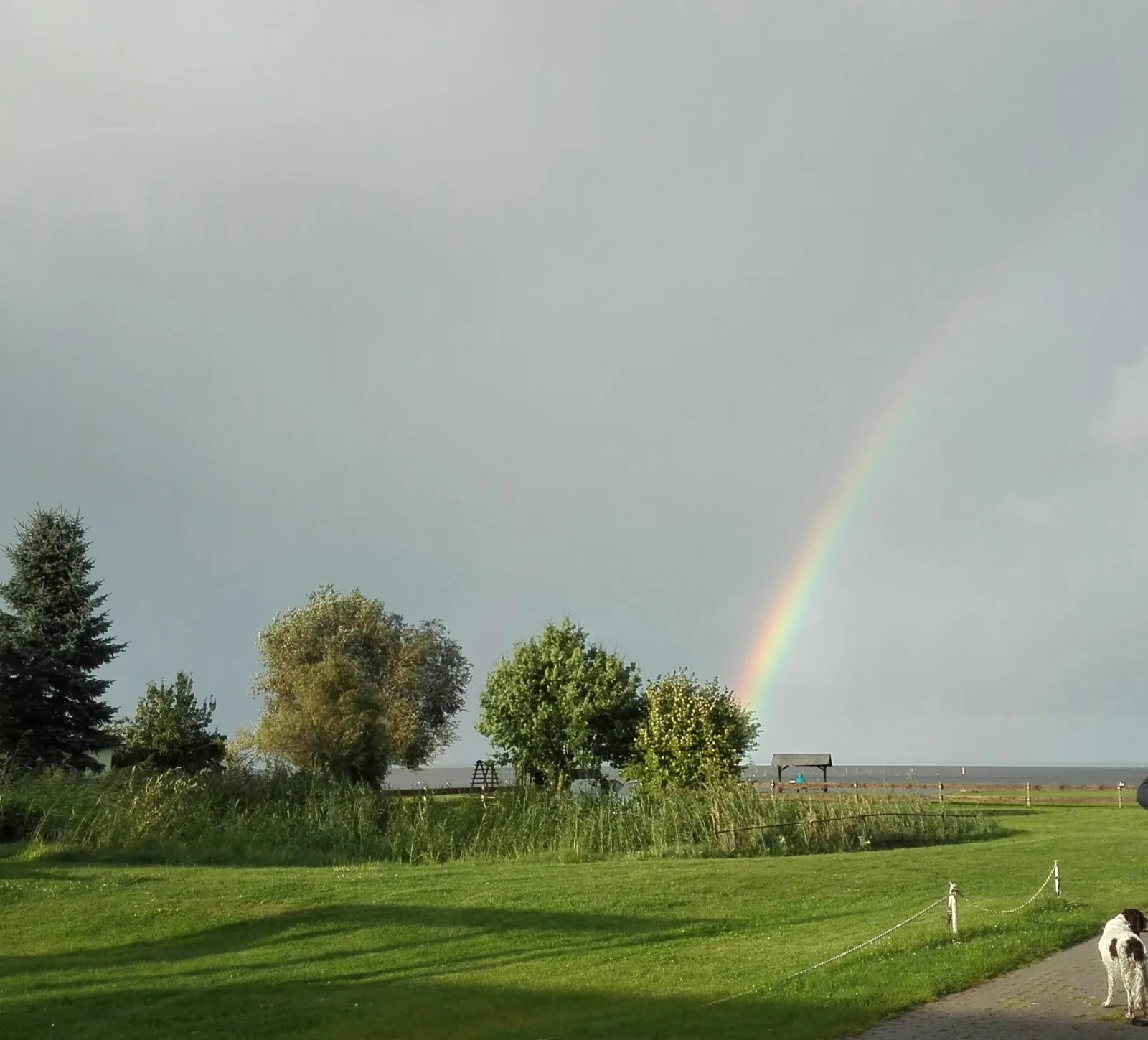 Bungalow, Altwarp , Meerblick,Hund darf mit