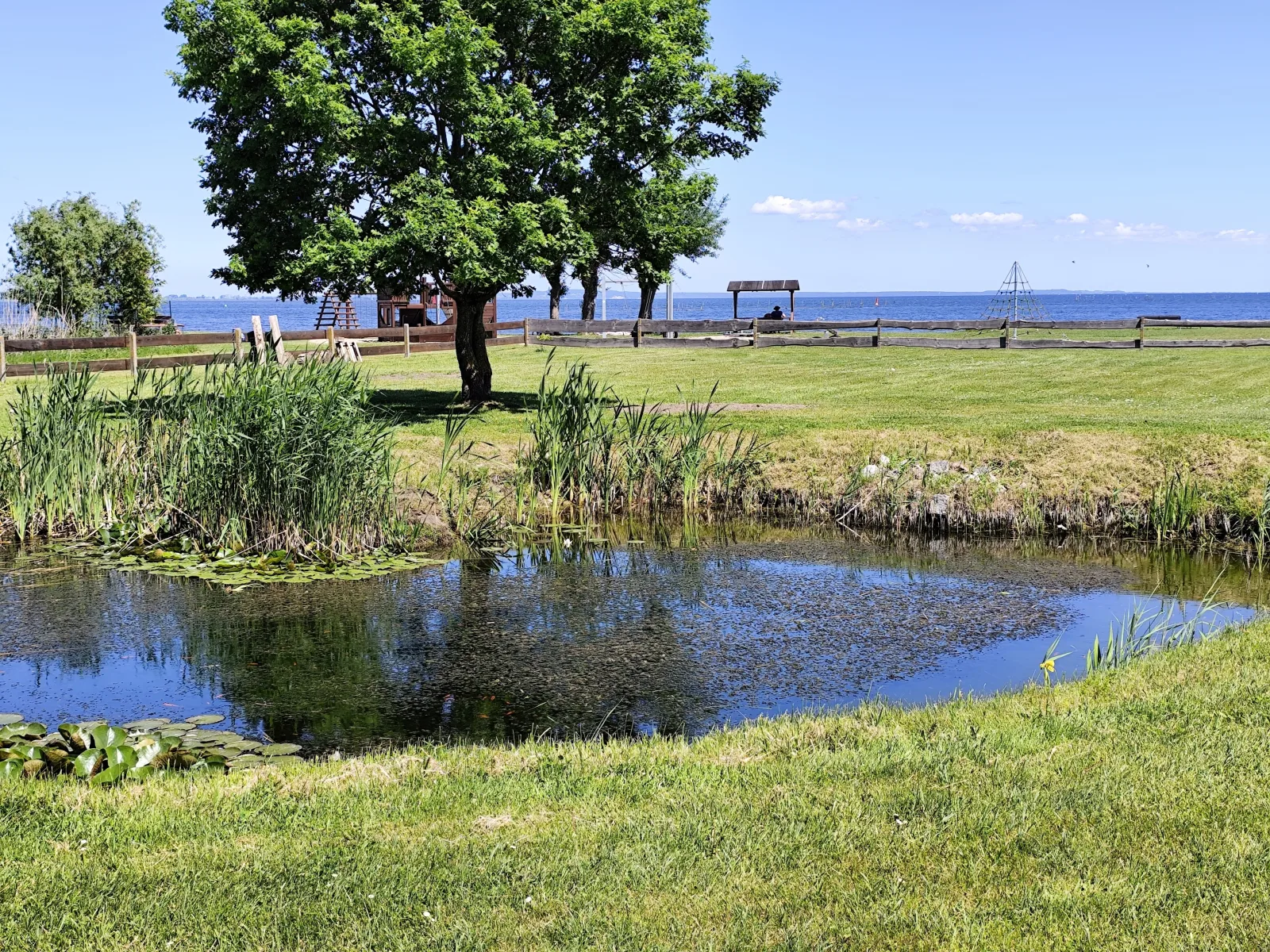 Bungalow, Altwarp , Meerblick,Hund darf mit