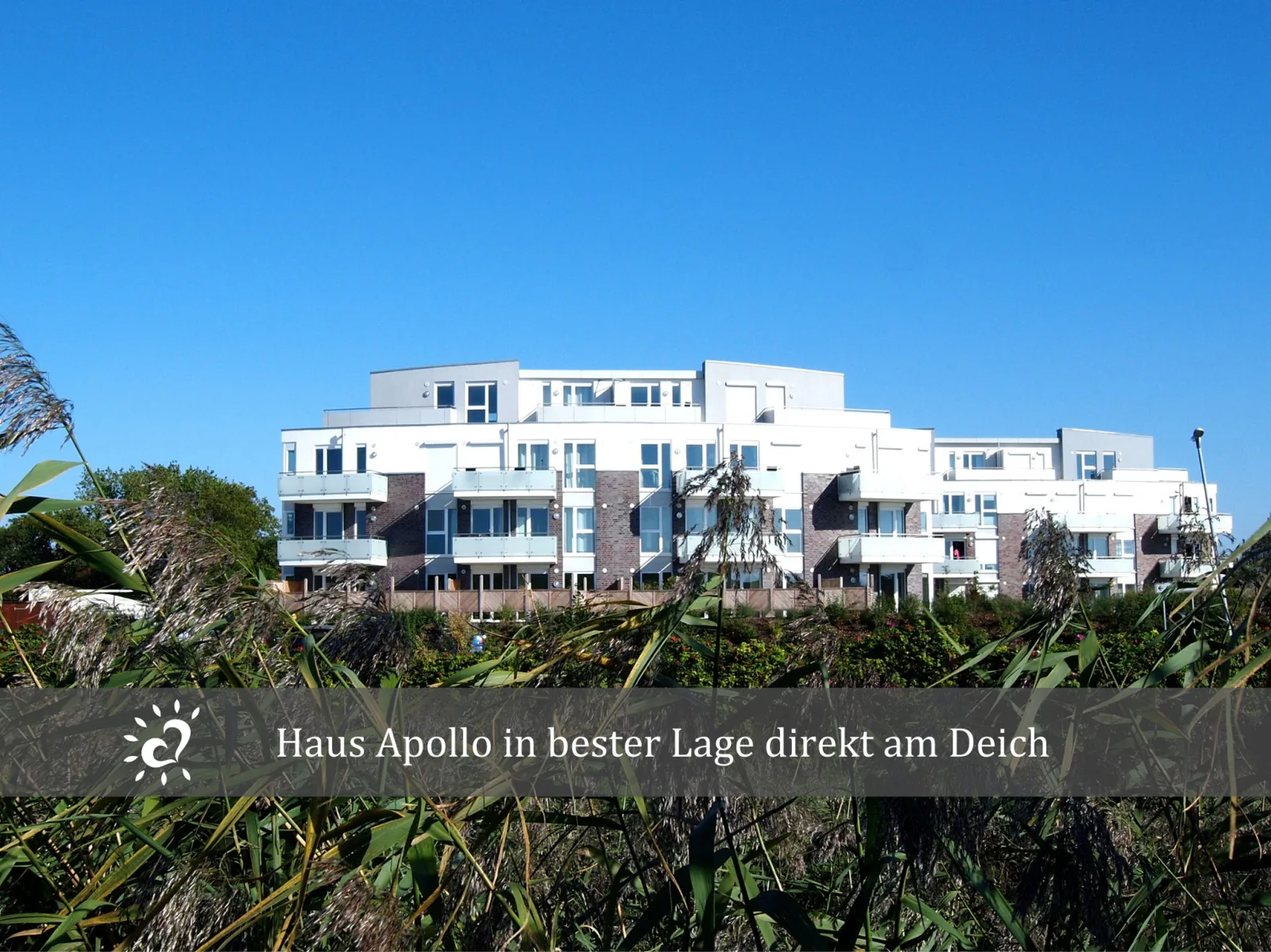 Ferienwohnung De Reetpieper Wohlfühlen am Nordseedeich