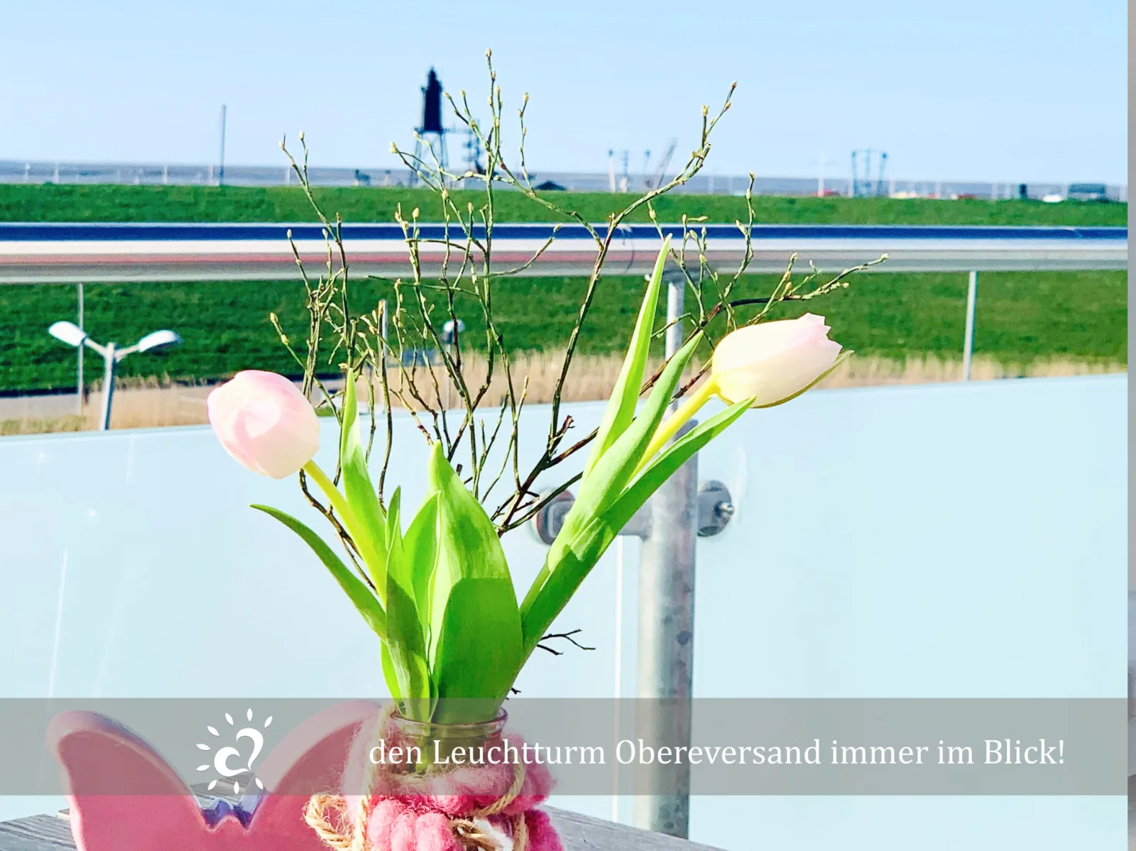 Penthouse de Ool Blick auf das Wattenmeer