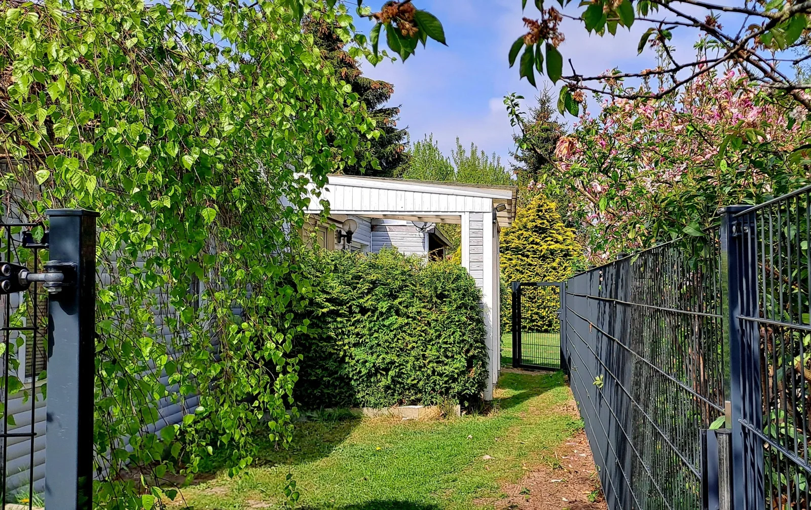 Ferienhaus Sommer
