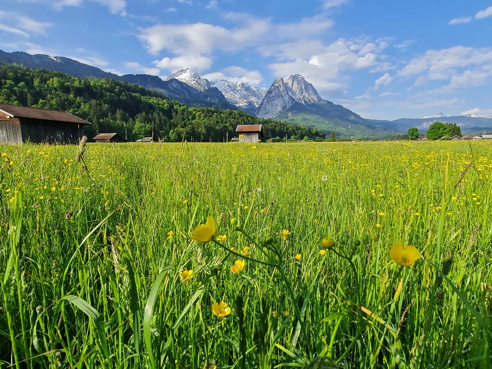 ALPENECK