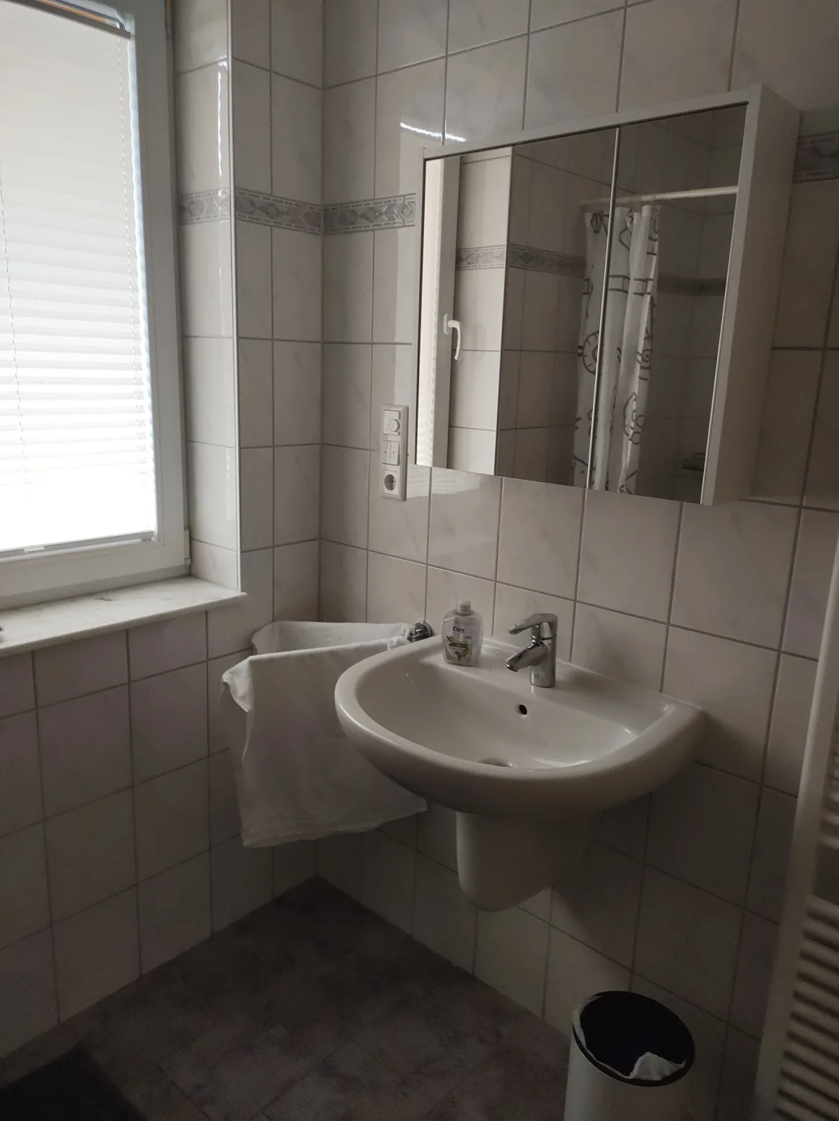 FeWo Holunderbusch