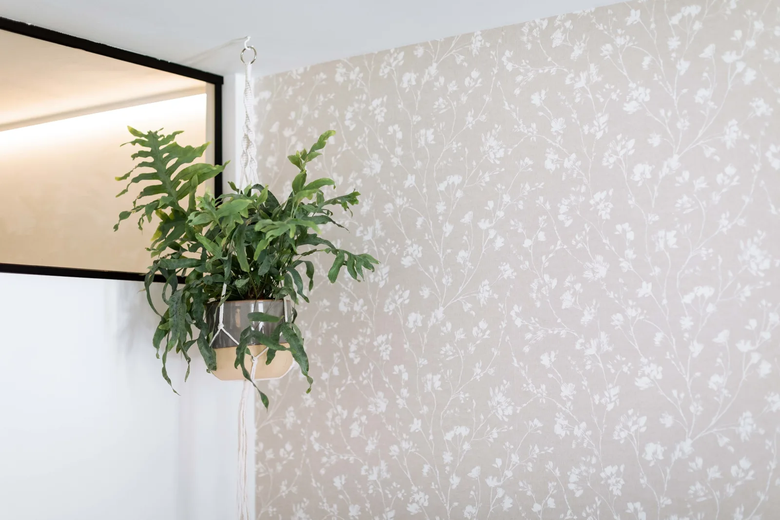 Comfy  Apartment 01 - Urban Jungle Apartment