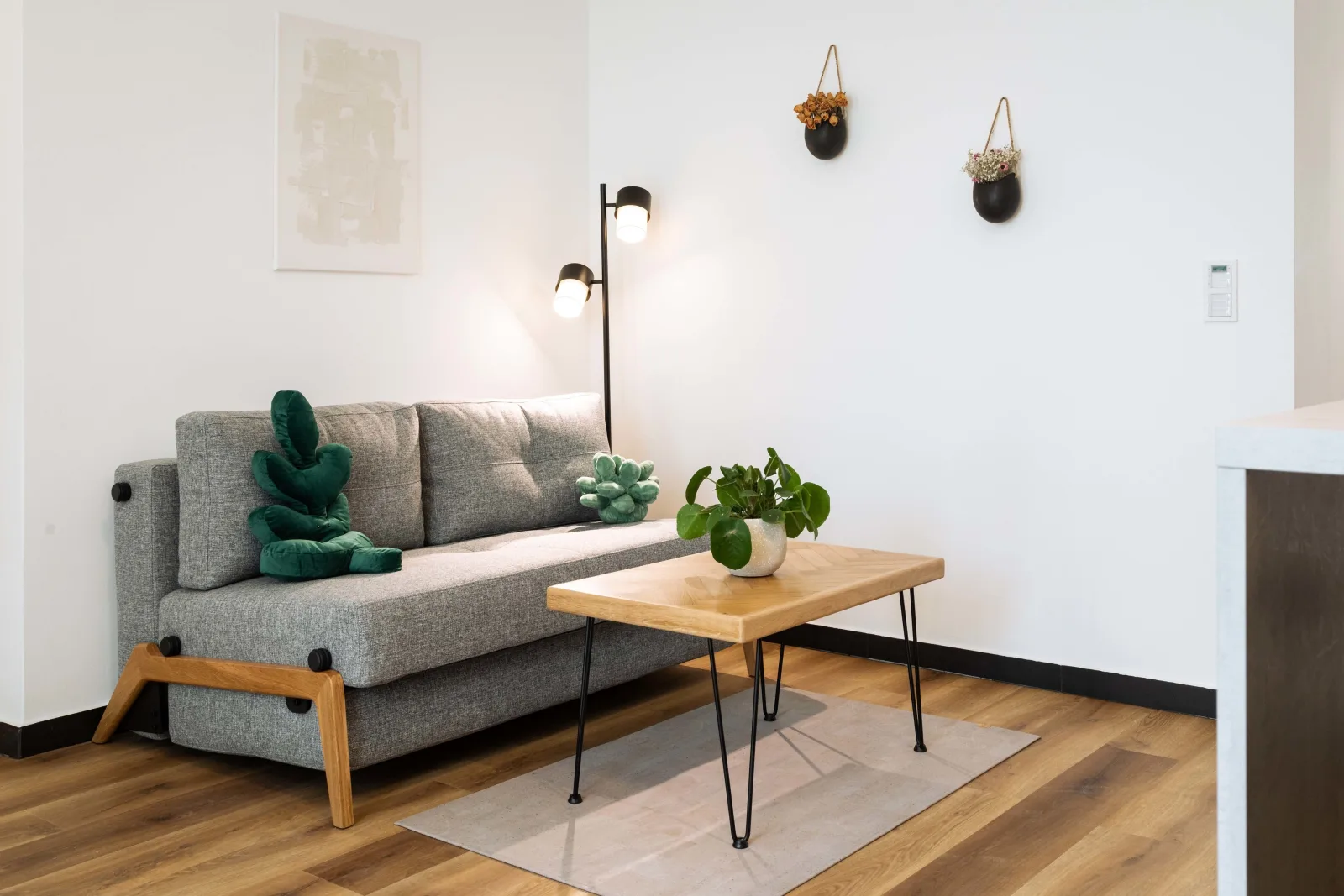 Comfy  Apartment 01 - Urban Jungle Apartment