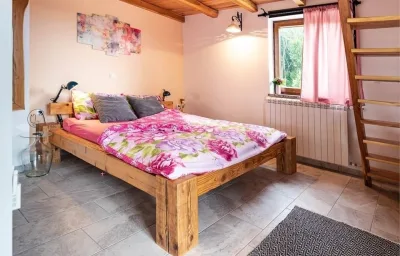 Raspor House