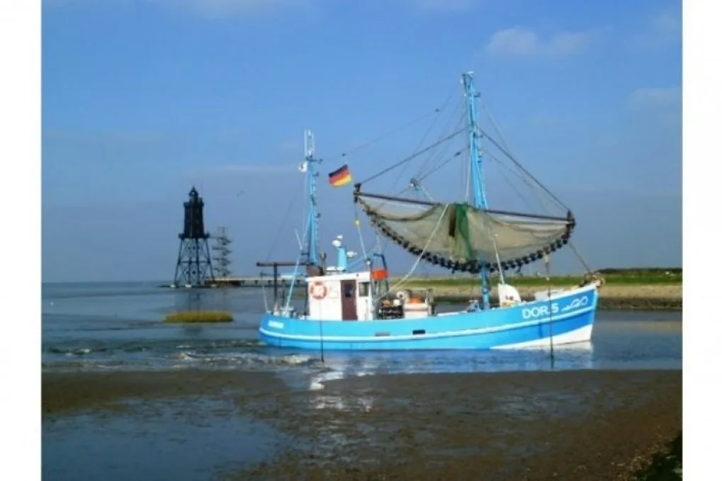 Amrum 18