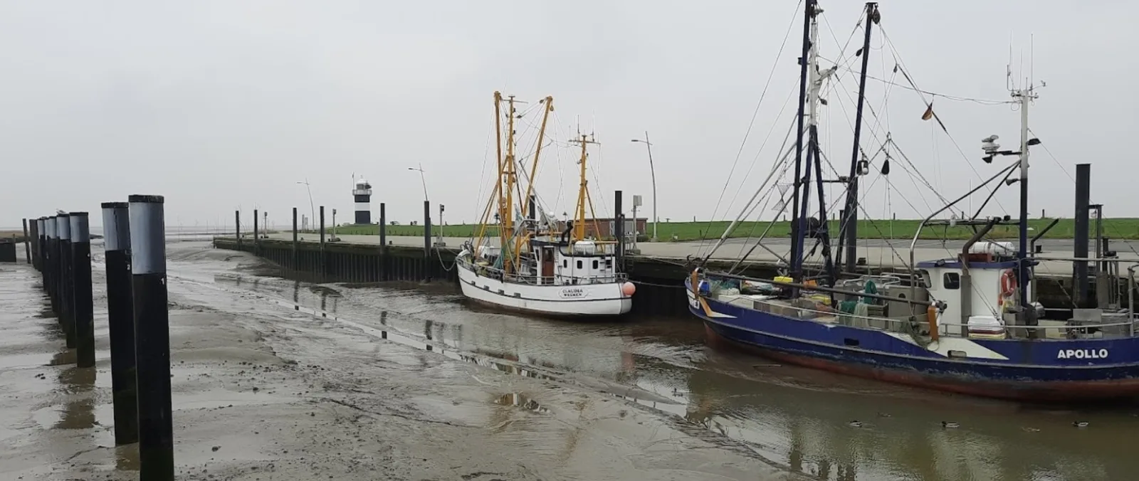 Moin im Deichgraf