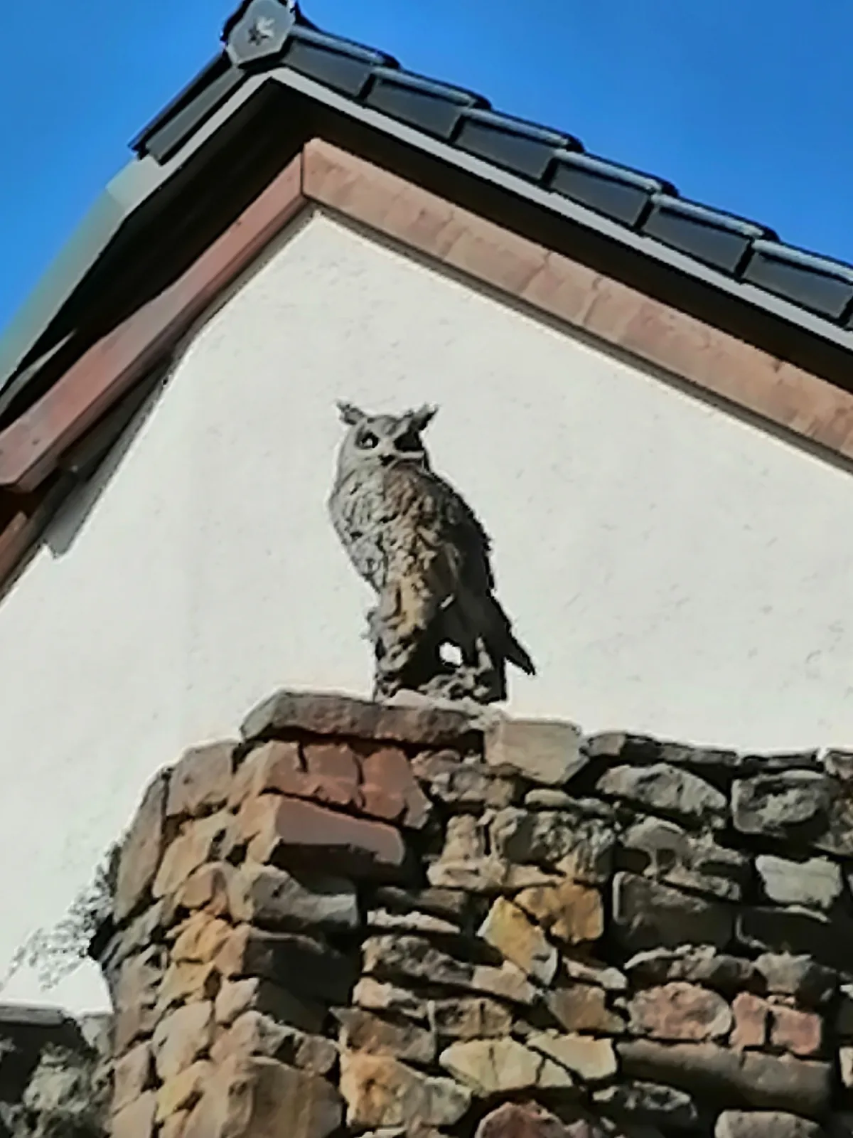 Kaalem/Hof Angelsen