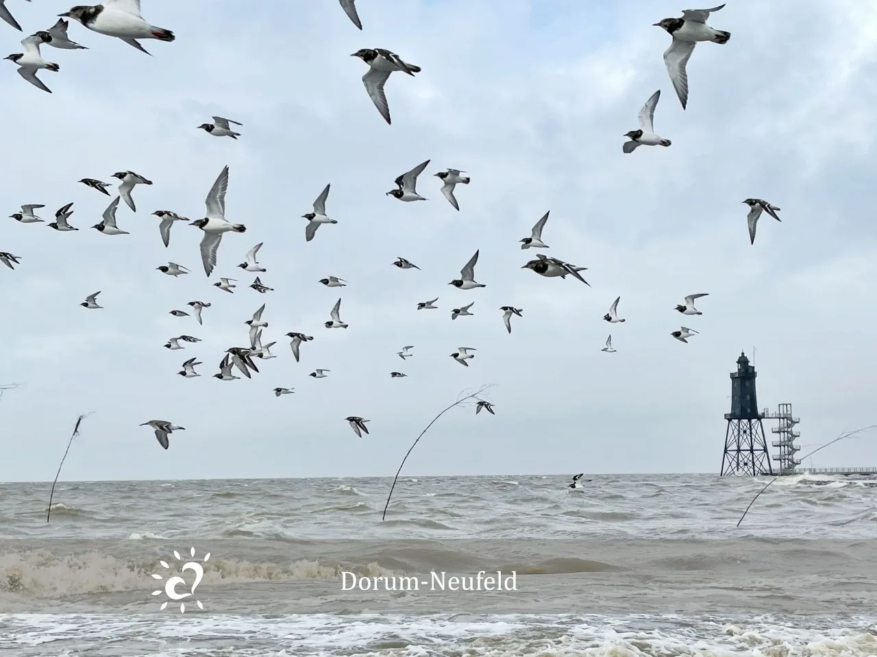 Ferienwohnung  Deichkind de BAAB Nordseeluft vom Balkon aus schnuppern