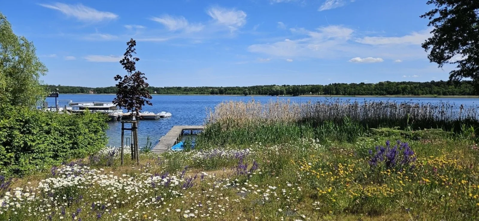 Haus am See Storkow