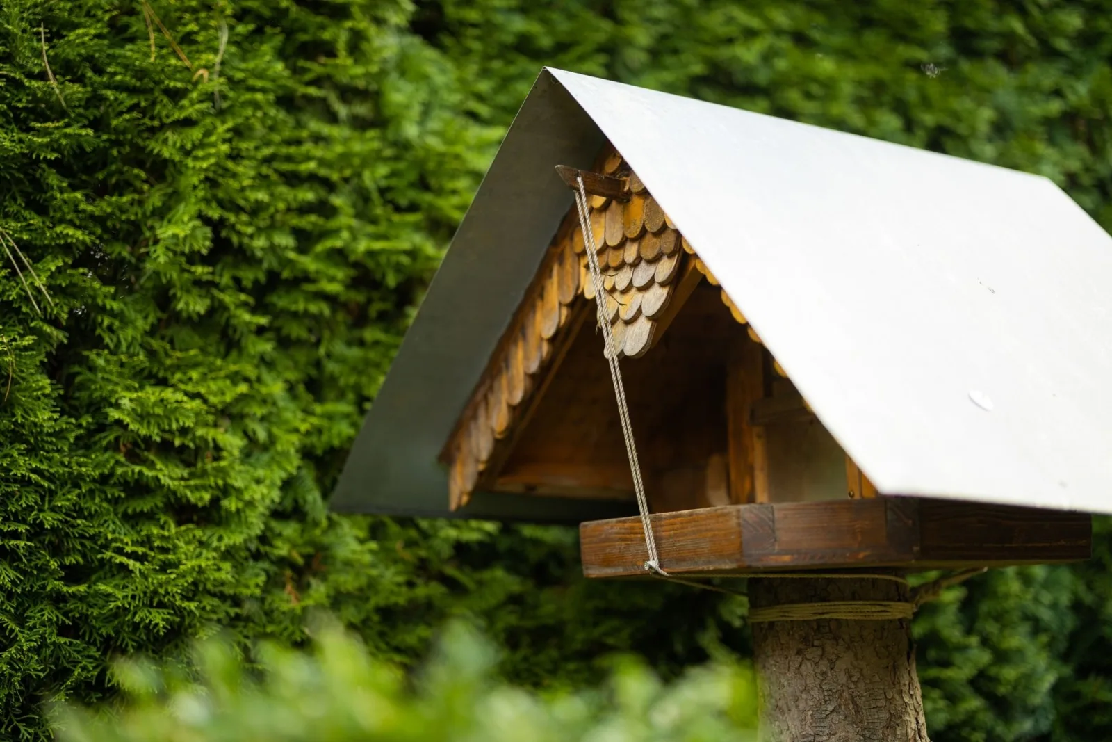 Gartenfewo mit 2 Schlafzimmern und 2 WLAN Homeofficeplätzen. Waschtrockner sowie Smart-TV und kostenlose Parkplätze.