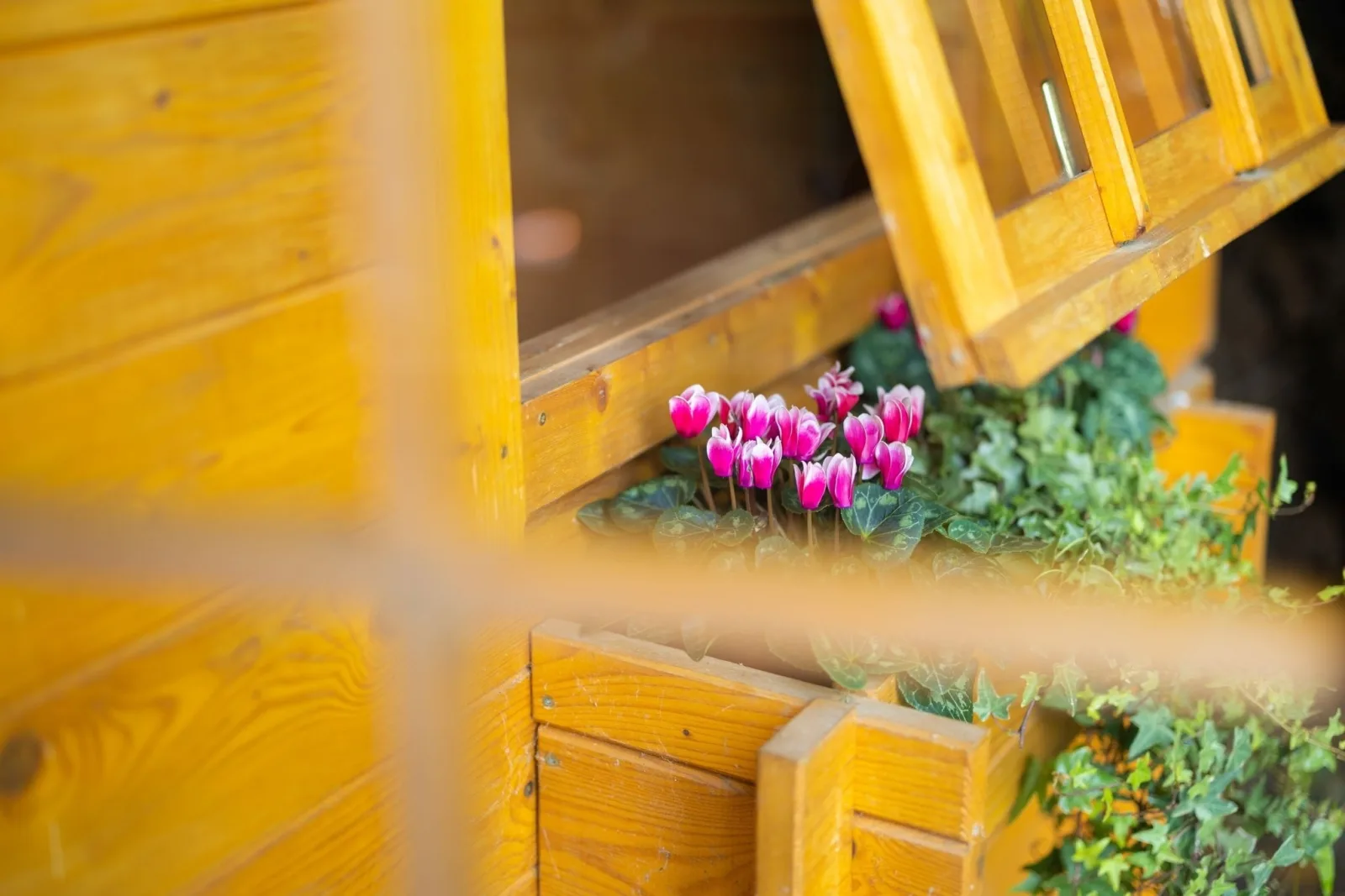 Gartenfewo mit 2 Schlafzimmern und 2 WLAN Homeofficeplätzen. Waschtrockner sowie Smart-TV und kostenlose Parkplätze.