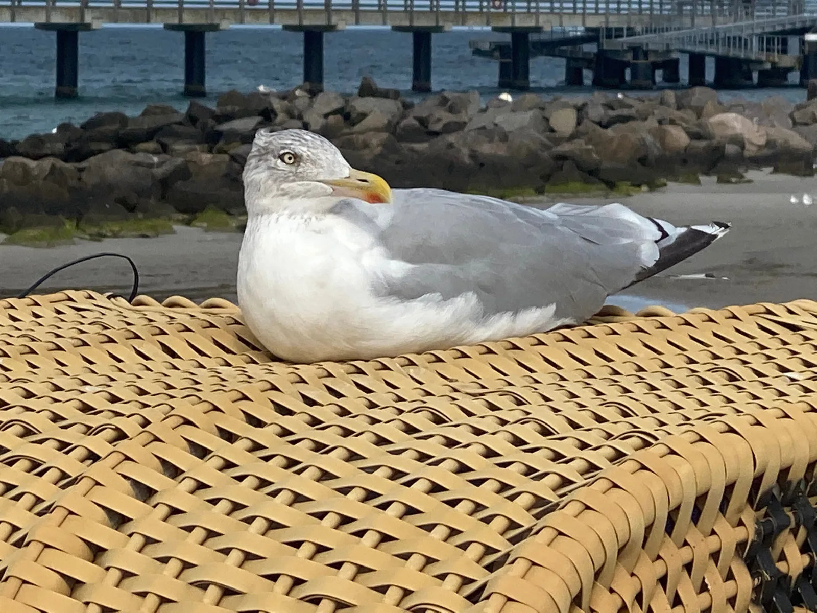Ostseezeit 1