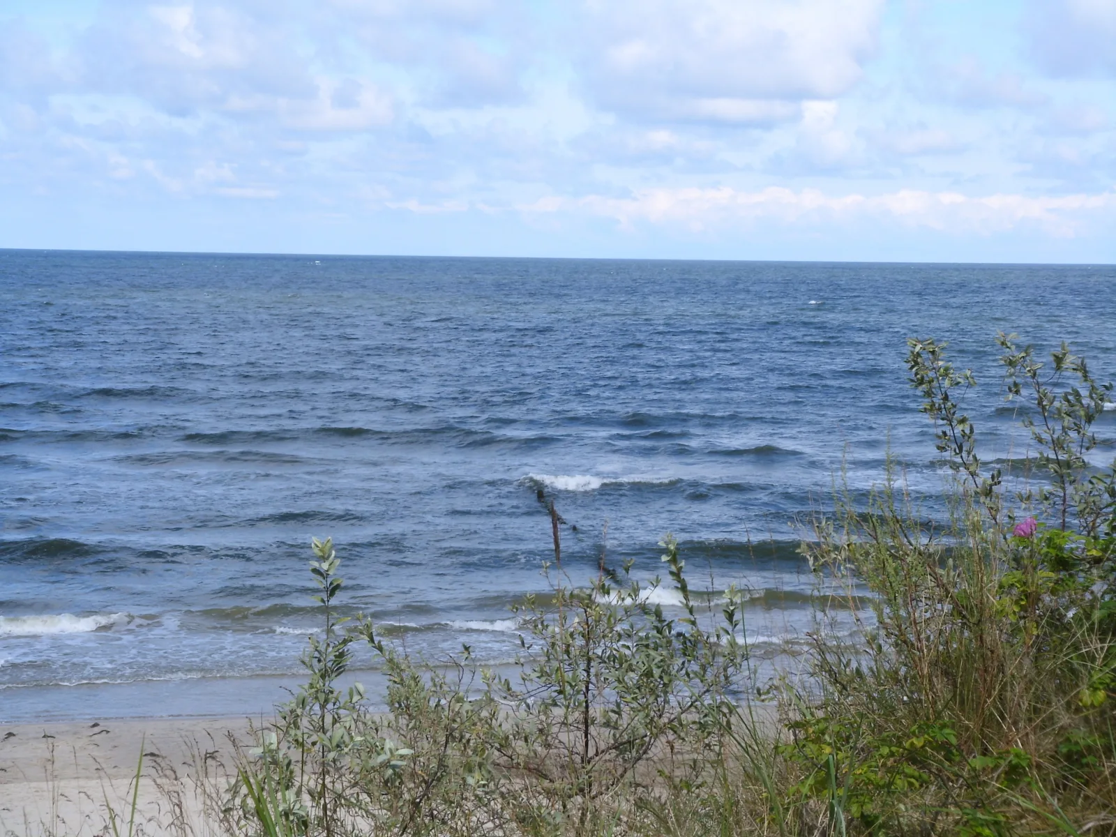 Ferienzimmer am Walde