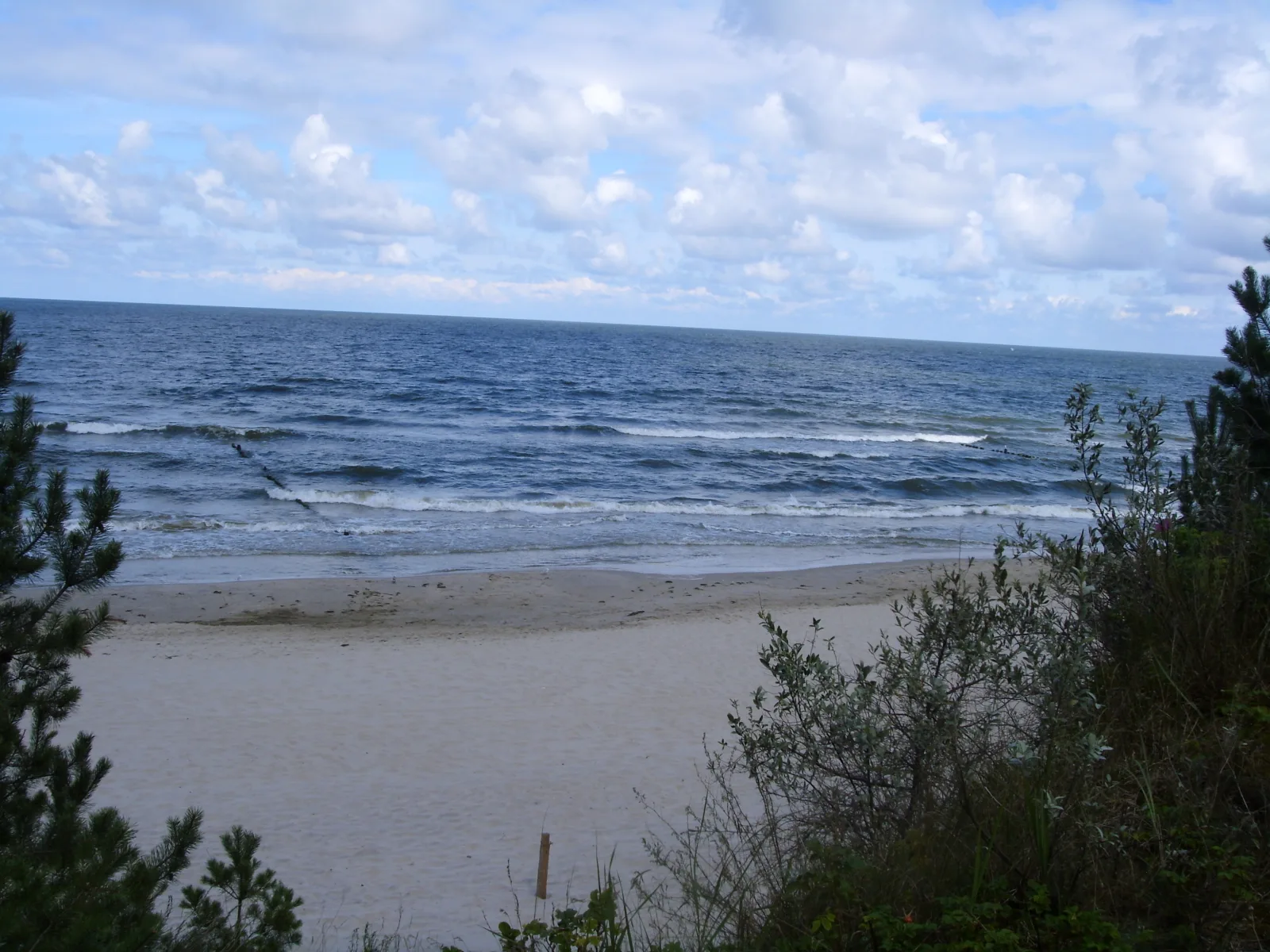 Ferienzimmer am Walde