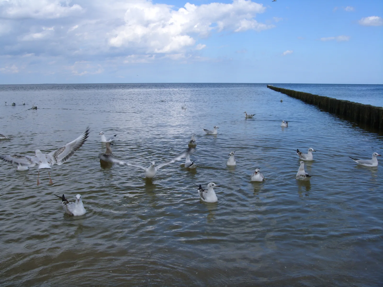 Ferienzimmer am Walde