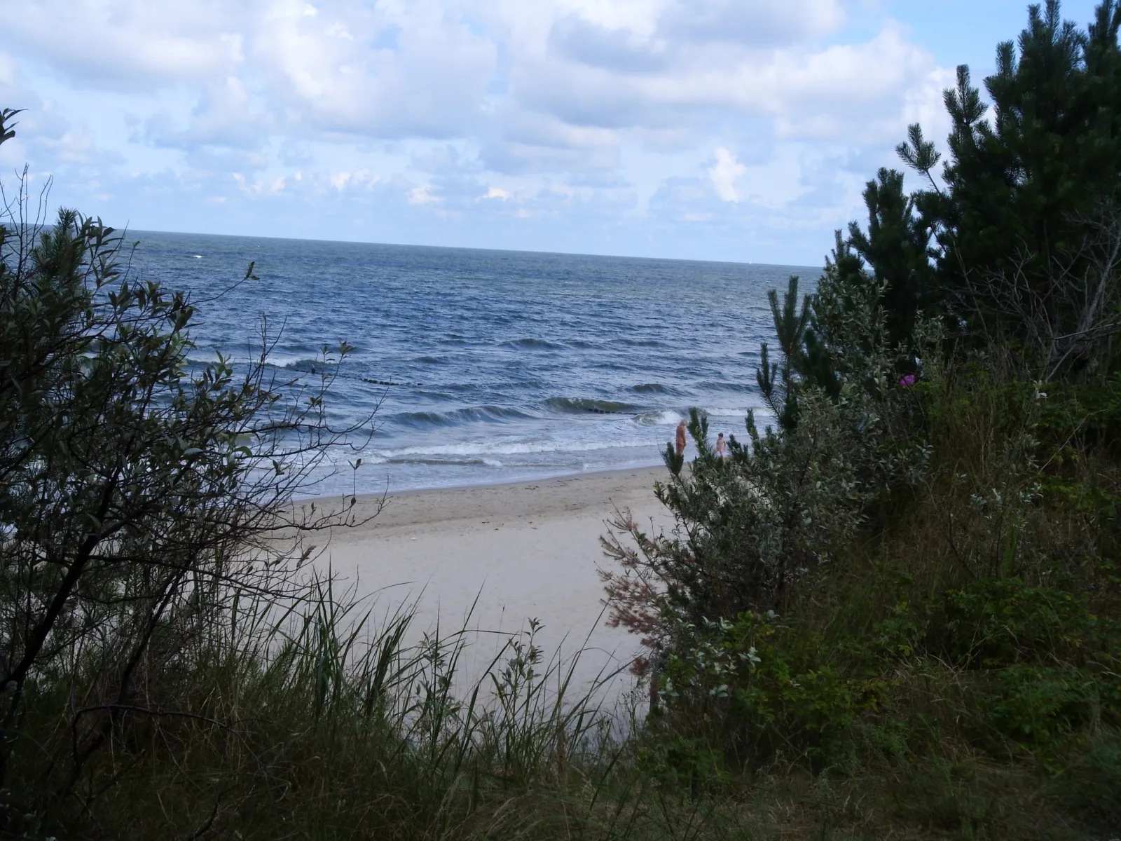Ferienzimmer am Walde