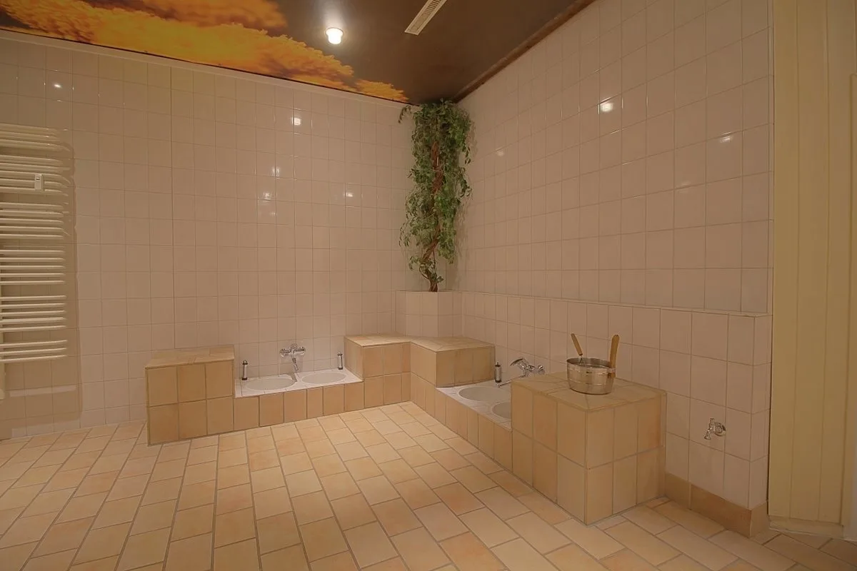 Ferienwohnung Panoramic/Harz   App.459