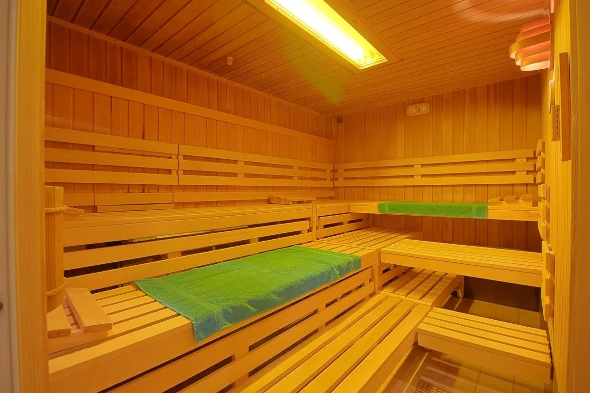 Ferienwohnung Panoramic/Harz   App.459