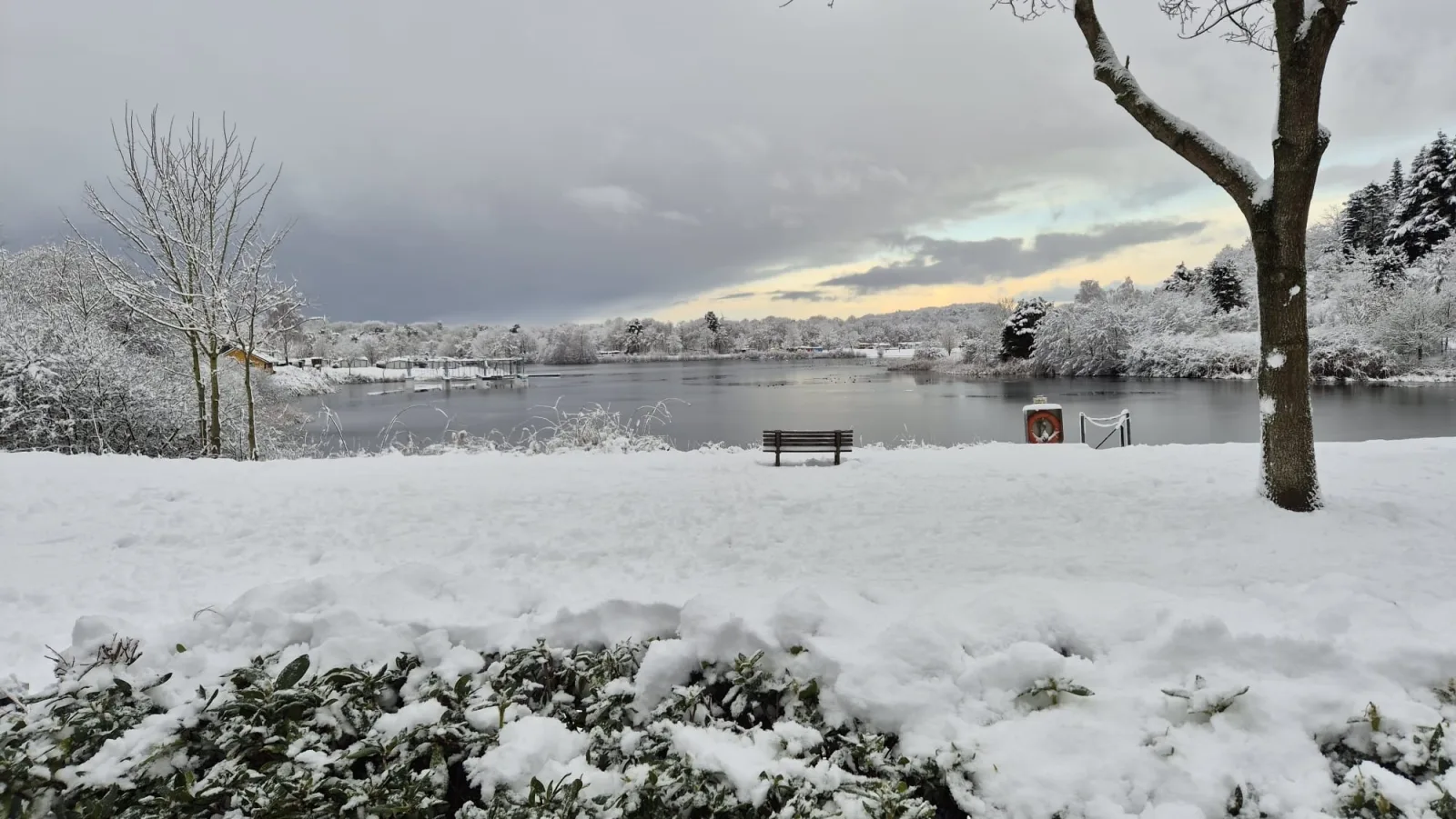 Mobilheim Herzmuschel mit Veranda am Kransburger See  (554)