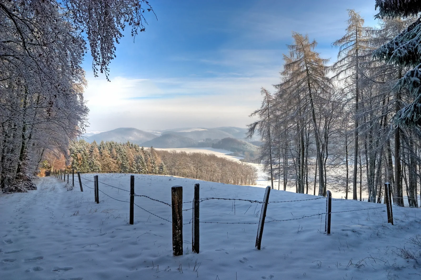 Diemelsee / Sudeck - Ein Ferienhäuschen zum WOHLFÜHLEN