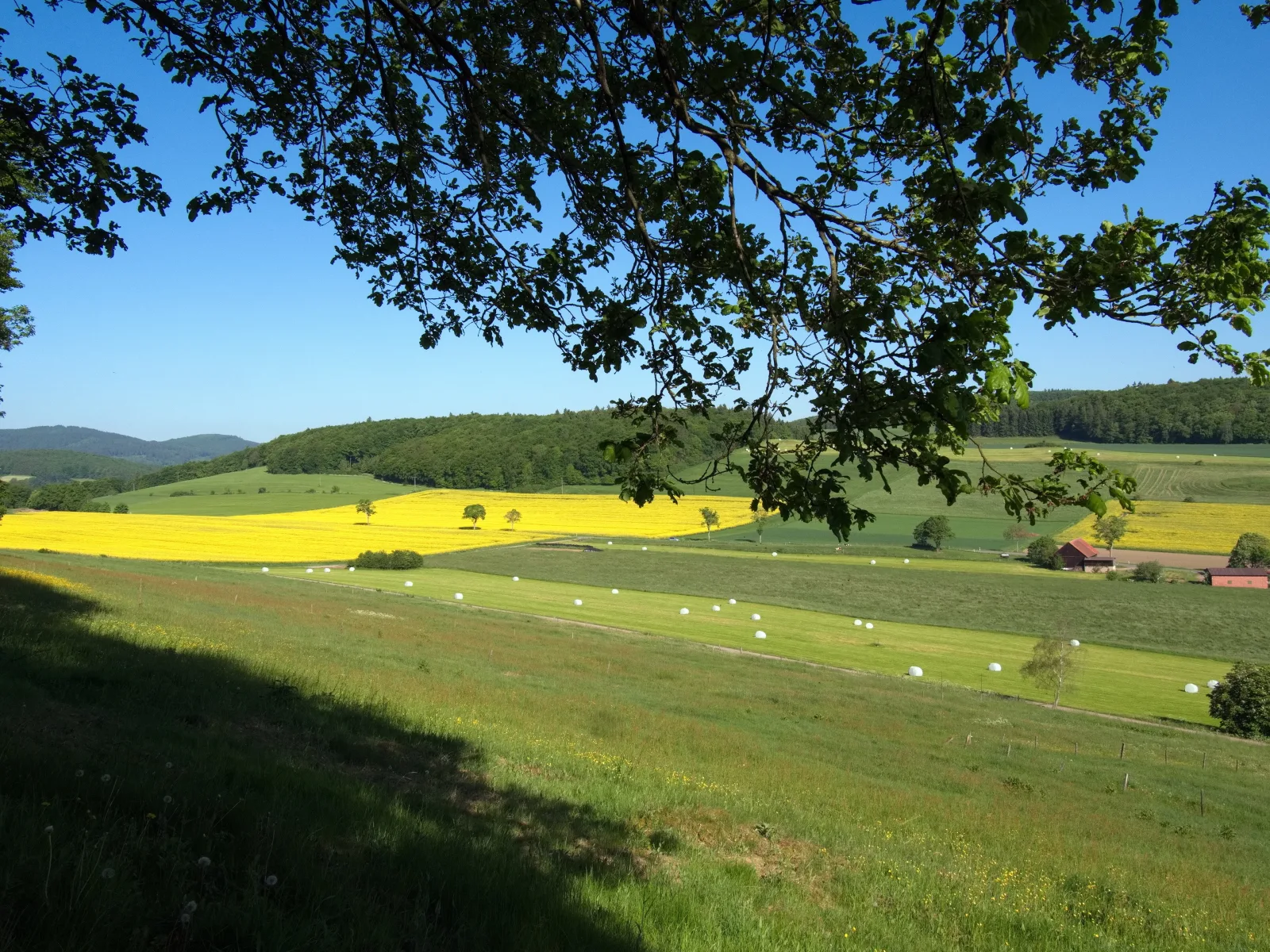Diemelsee / Sudeck - Ein Ferienhäuschen zum WOHLFÜHLEN
