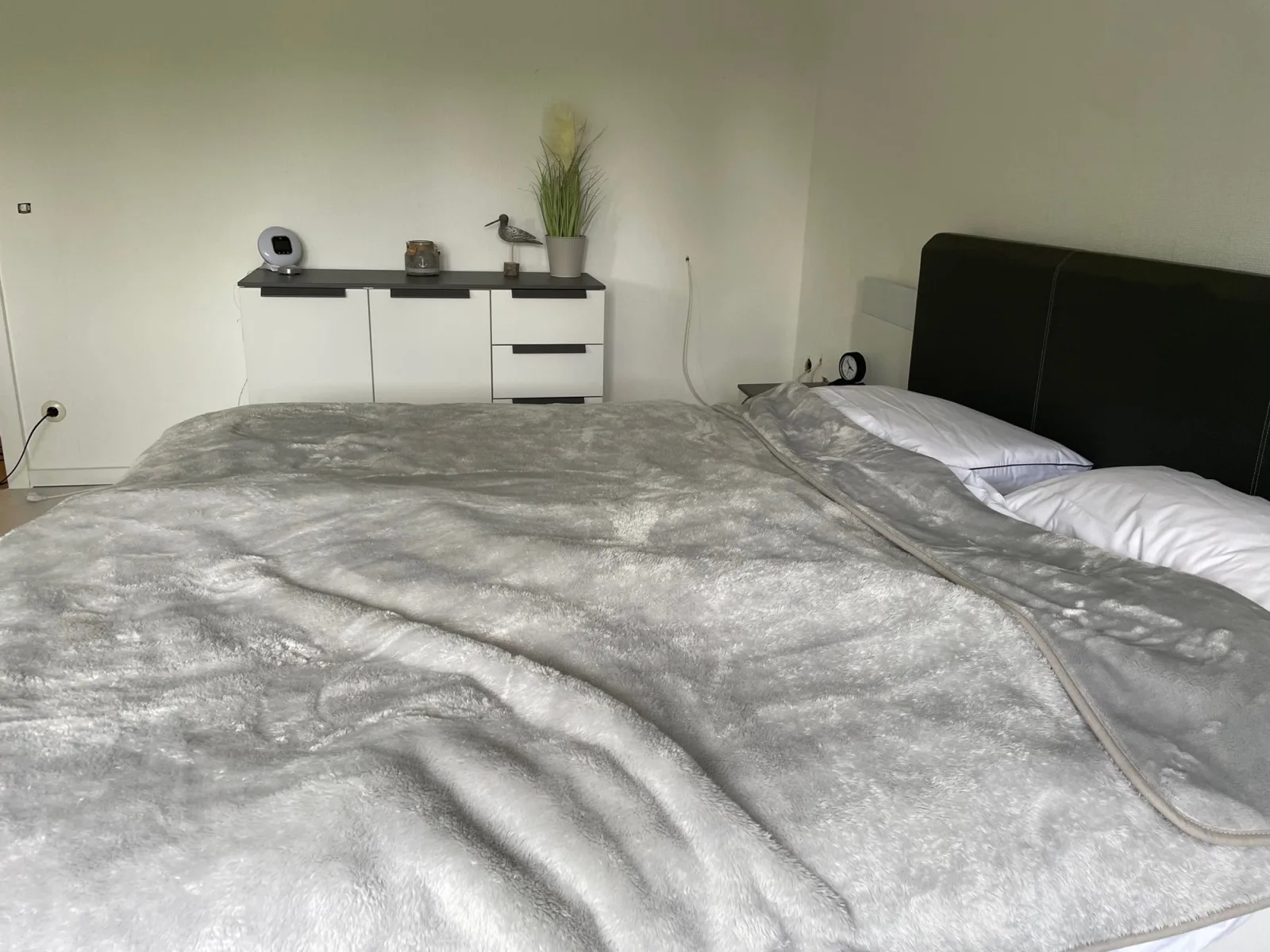 Appartment Königshof