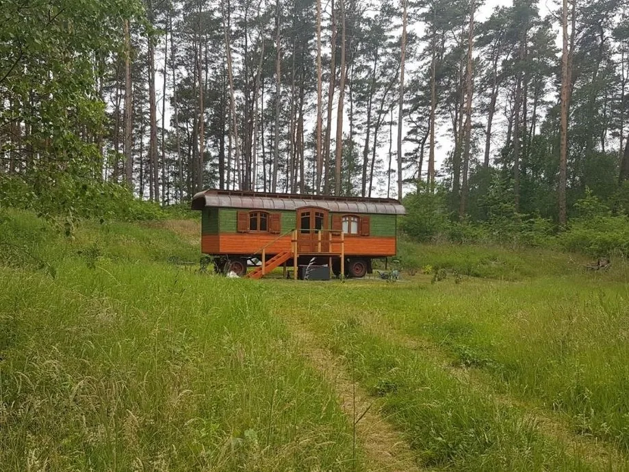 Zigappo Pullman