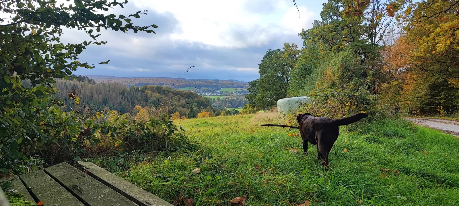 FeWo Bergenrot Urlaub mit Hund