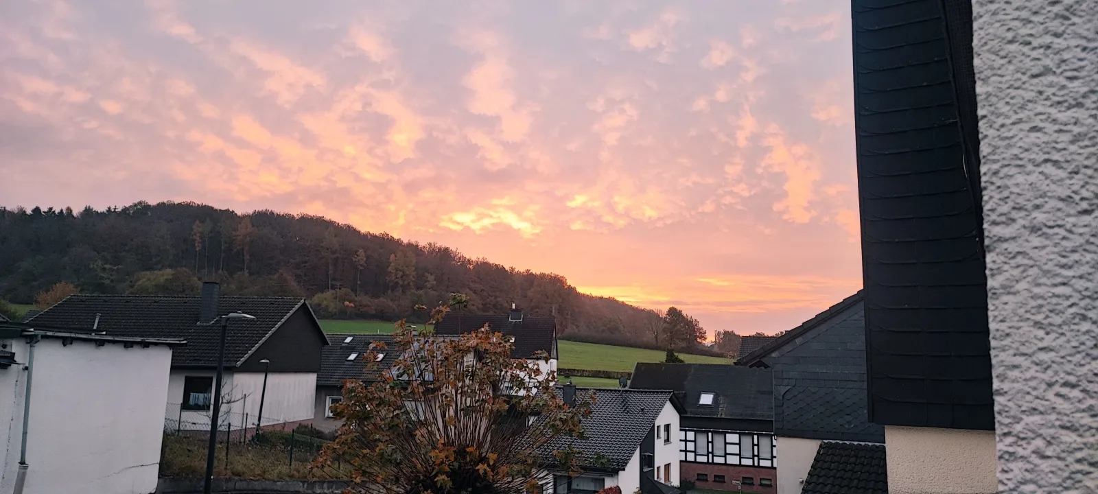 FeWo Bergenrot Urlaub mit Hund