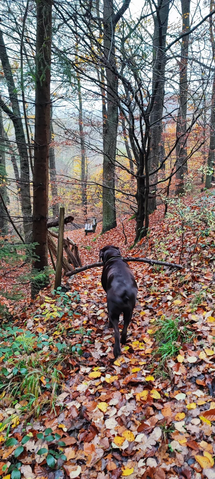 FeWo Bergenrot Urlaub mit Hund