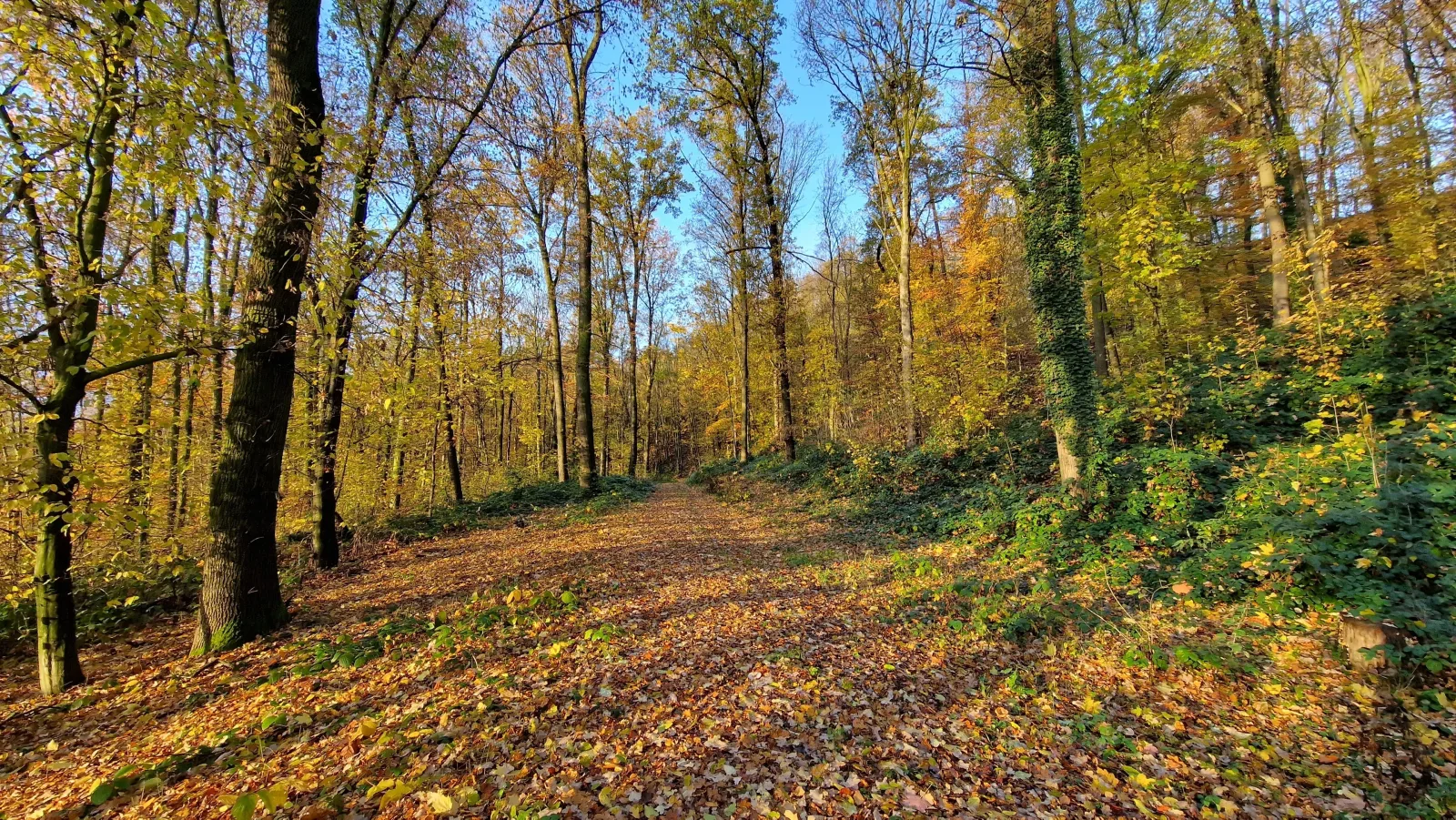 Ferienwohnung Geilert