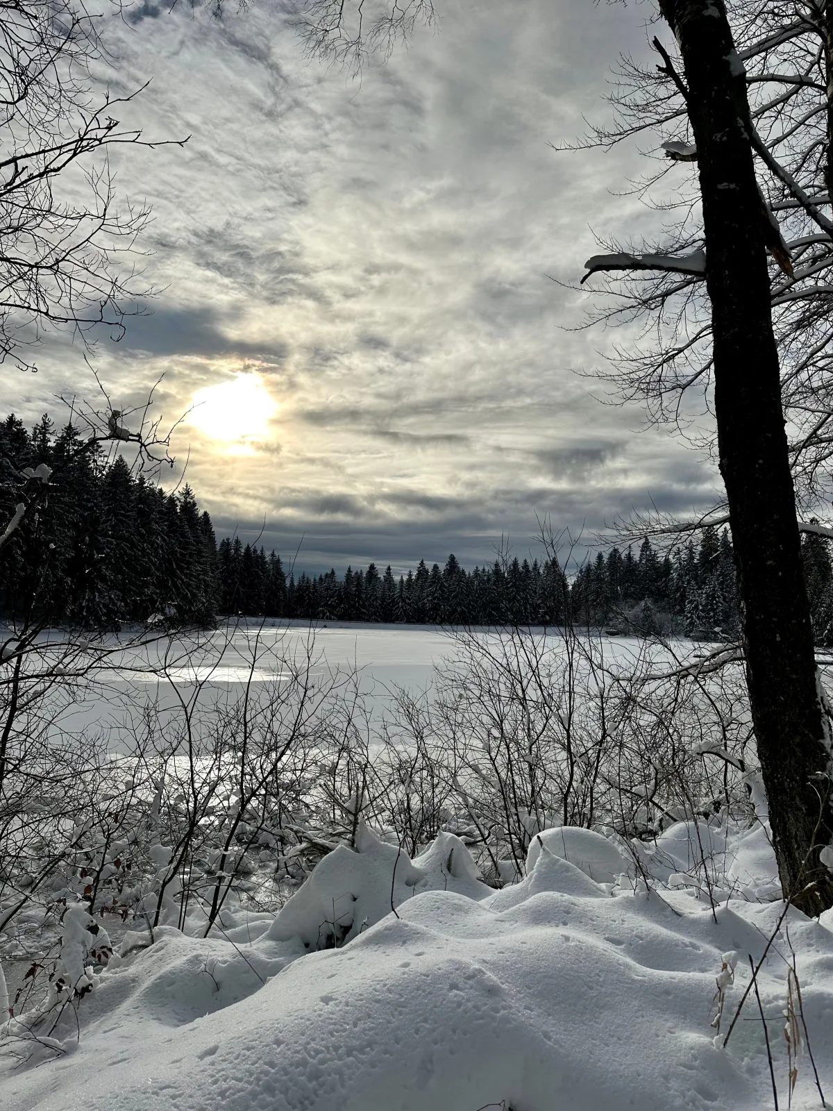 Ferienwohnung Waldgänger Hahnenklee