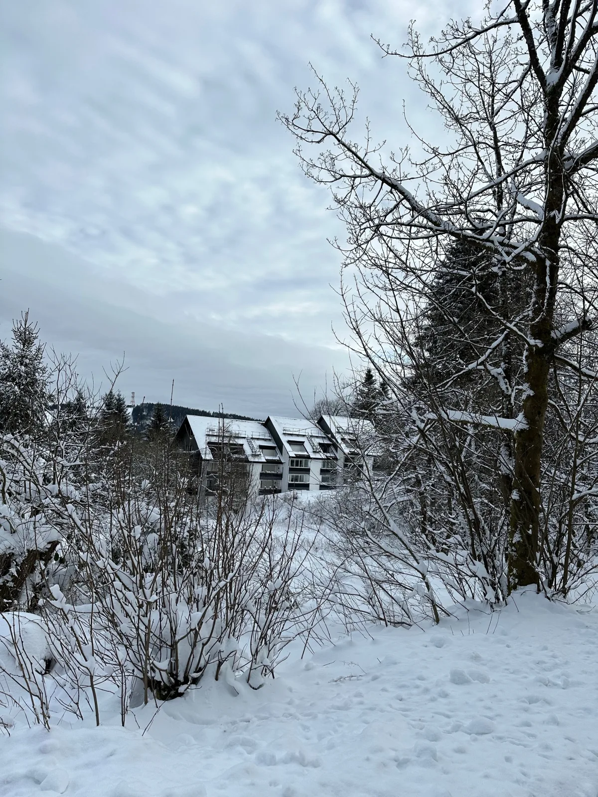 Ferienwohnung Waldgänger Hahnenklee