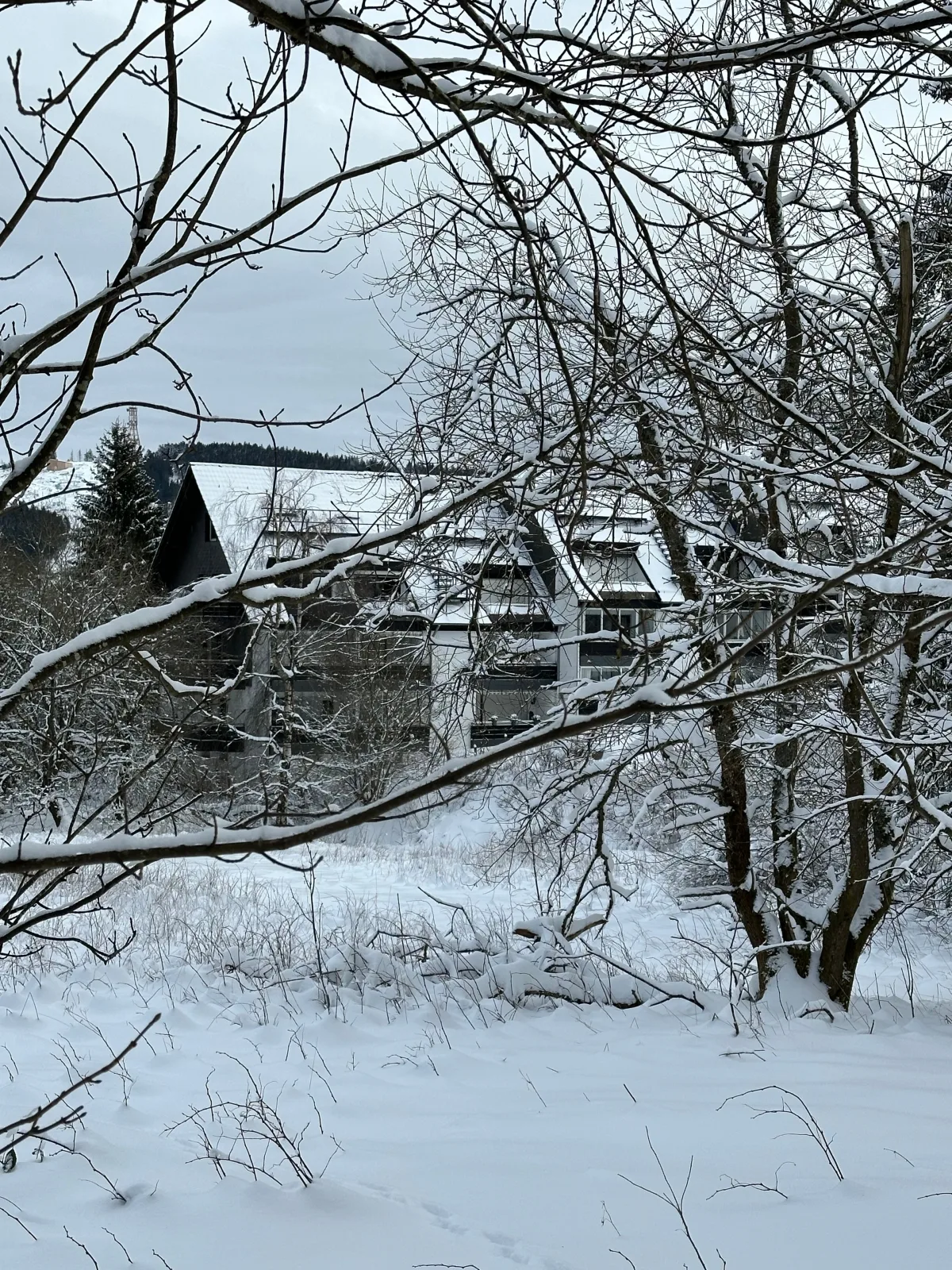 Ferienwohnung Waldgänger Hahnenklee