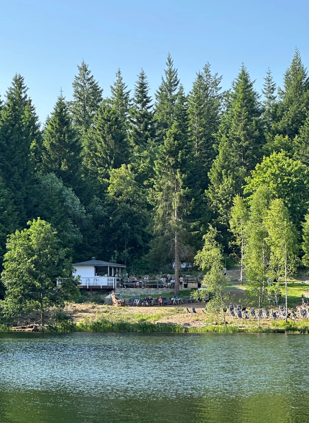 Ferienwohnung Waldgänger Hahnenklee