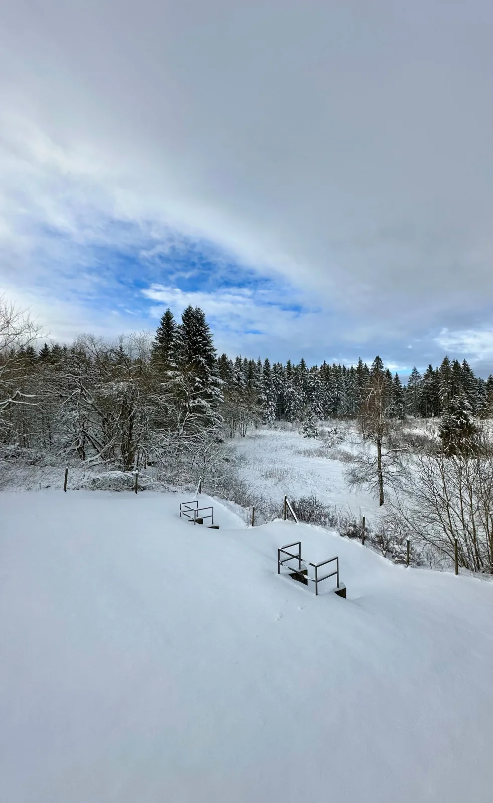 Ferienwohnung Waldgänger Hahnenklee