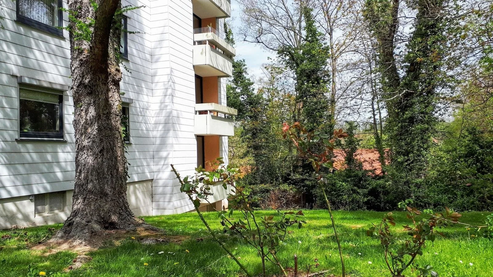 Apartment Harzgeflüster