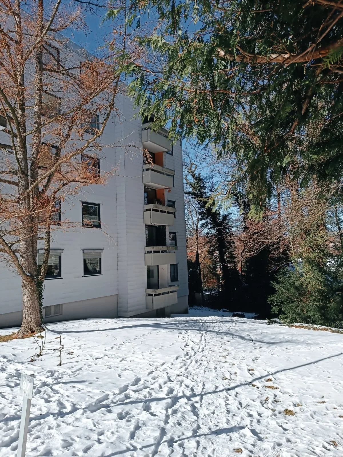 Apartment Harzgeflüster