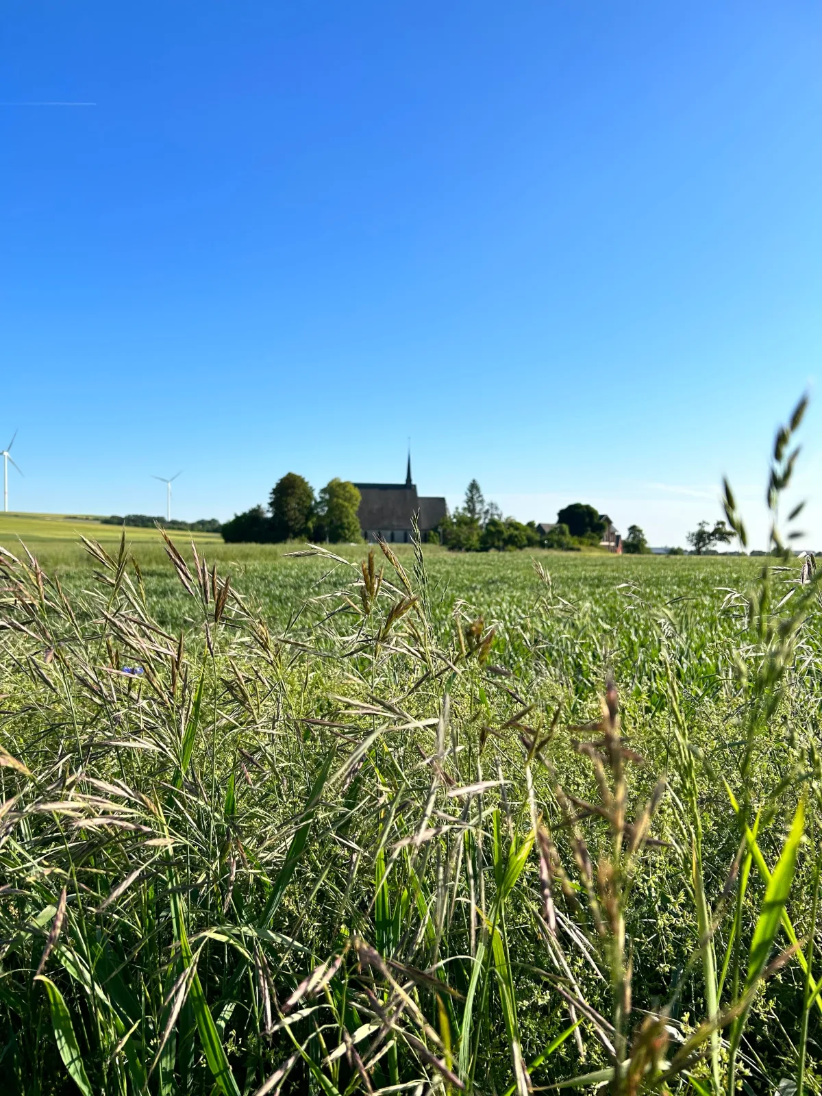 Gemütliche Ferienwohnung "Eifel - Moselhöhe", Nähe Pyrmonter Felsensteig