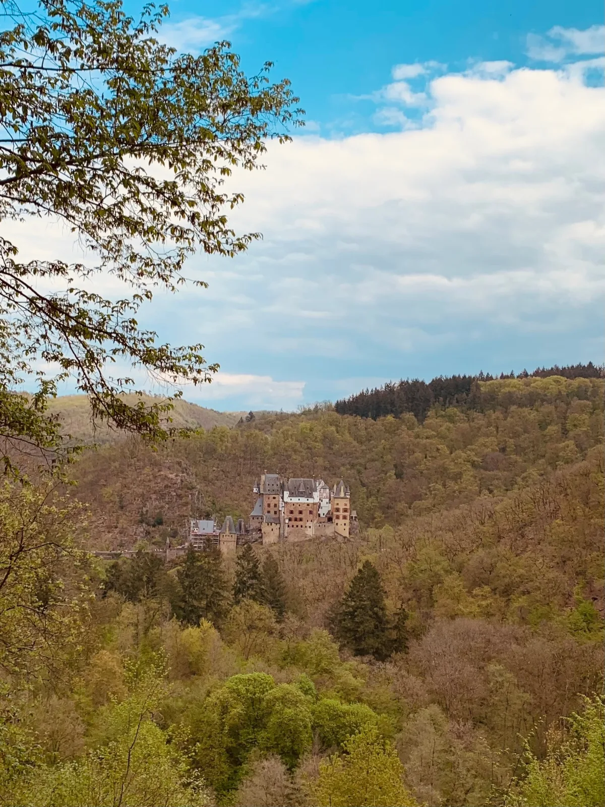 Gemütliche Ferienwohnung "Eifel - Moselhöhe", Nähe Pyrmonter Felsensteig