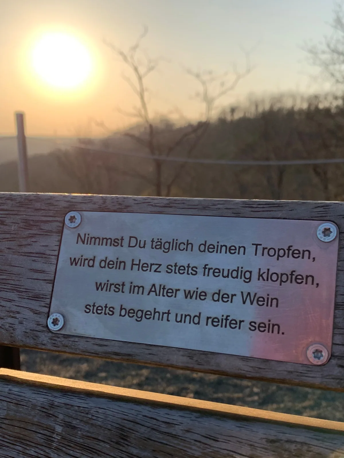 Gemütliche Ferienwohnung "Eifel - Moselhöhe", Nähe Pyrmonter Felsensteig