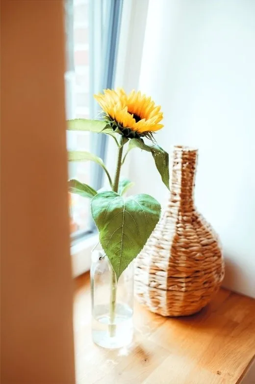 Wohnung 1