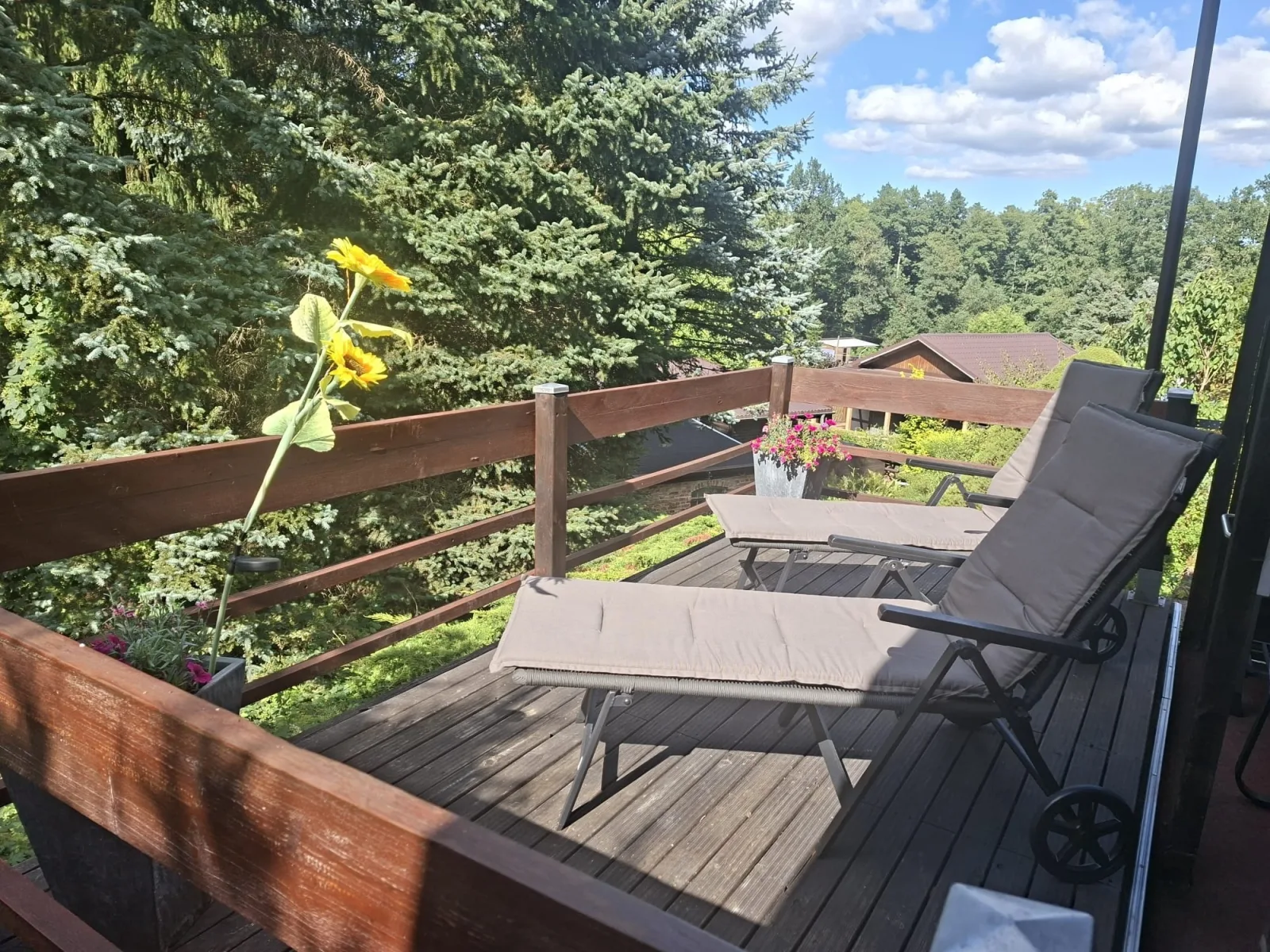 Ferienhaus im Odertal