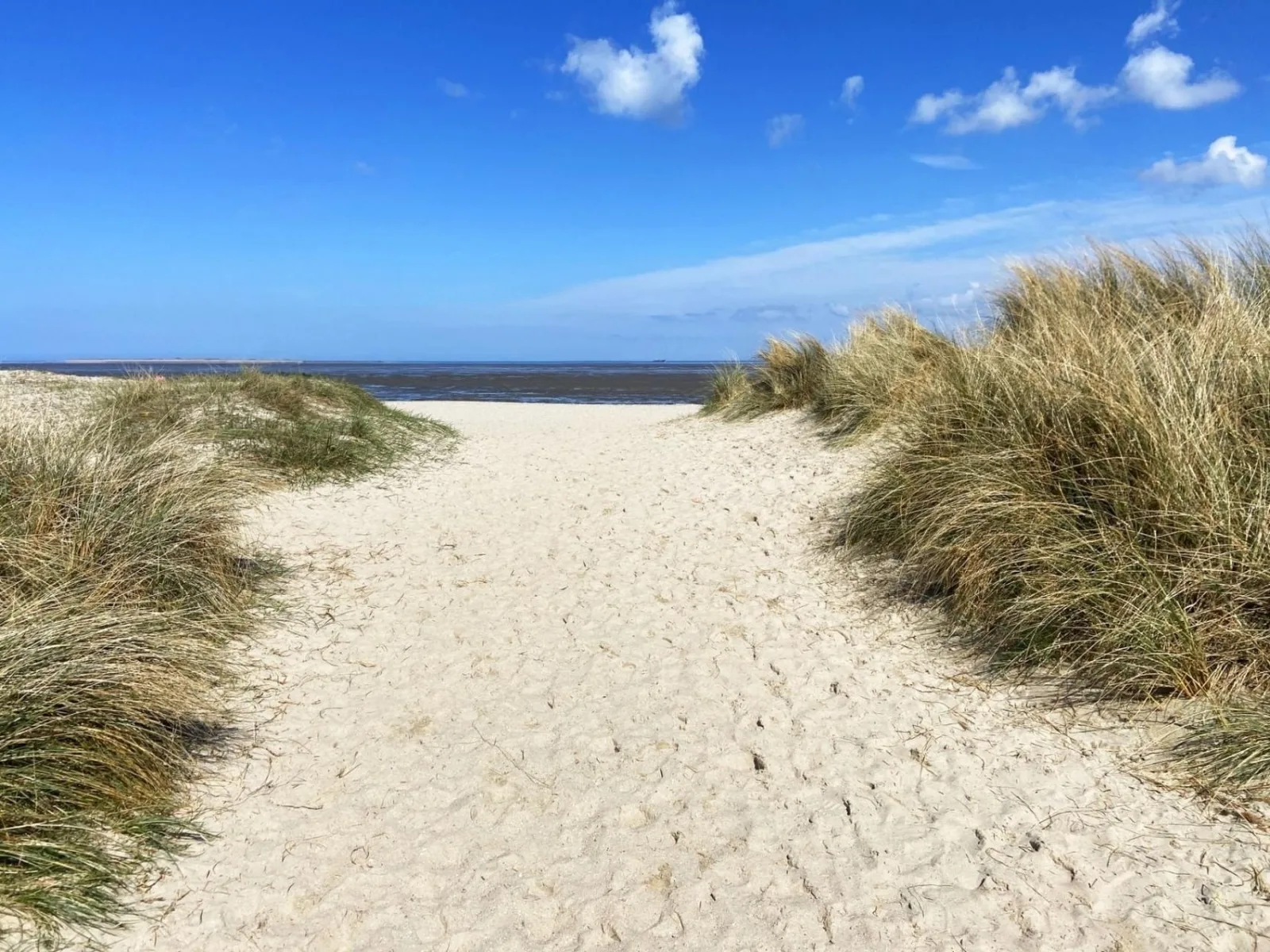 Ferien im Wangerland - Haus Wiesenweg - Ferienwohnung  2