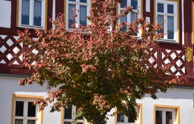 Ferienwohnung Veste Coburg