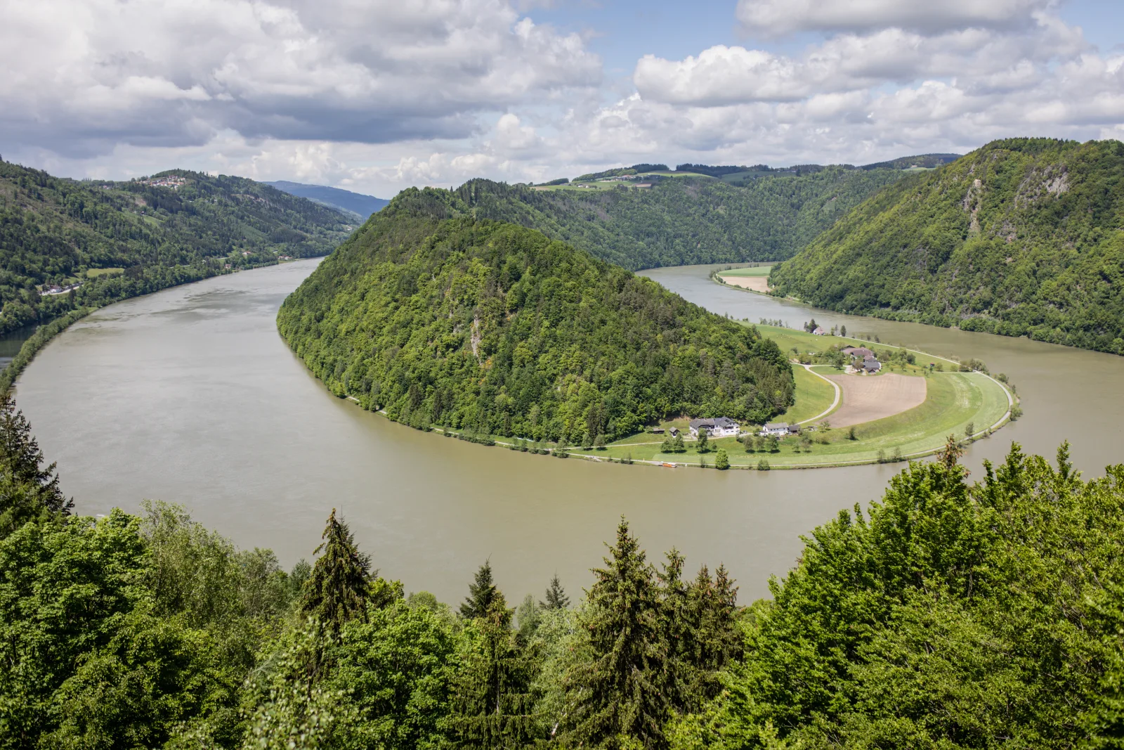 Am Wildbach bei Passau
