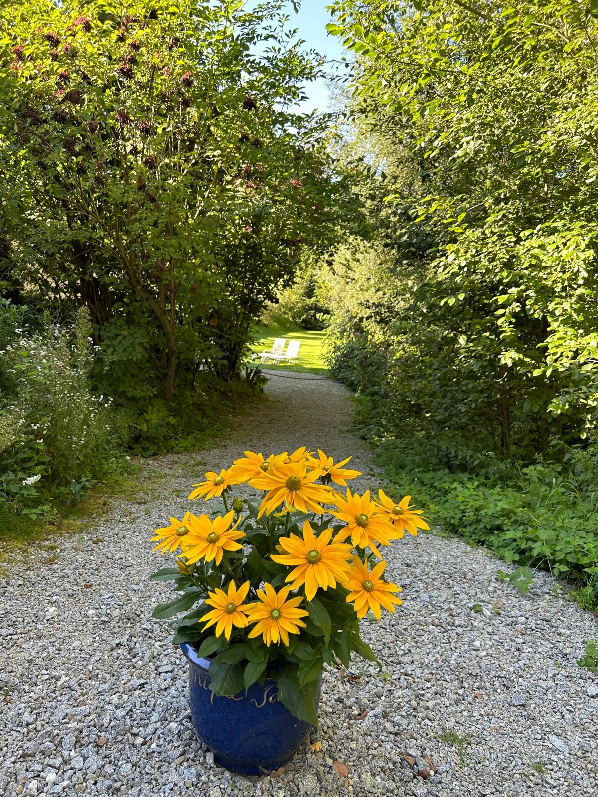 Am Wildbach bei Passau