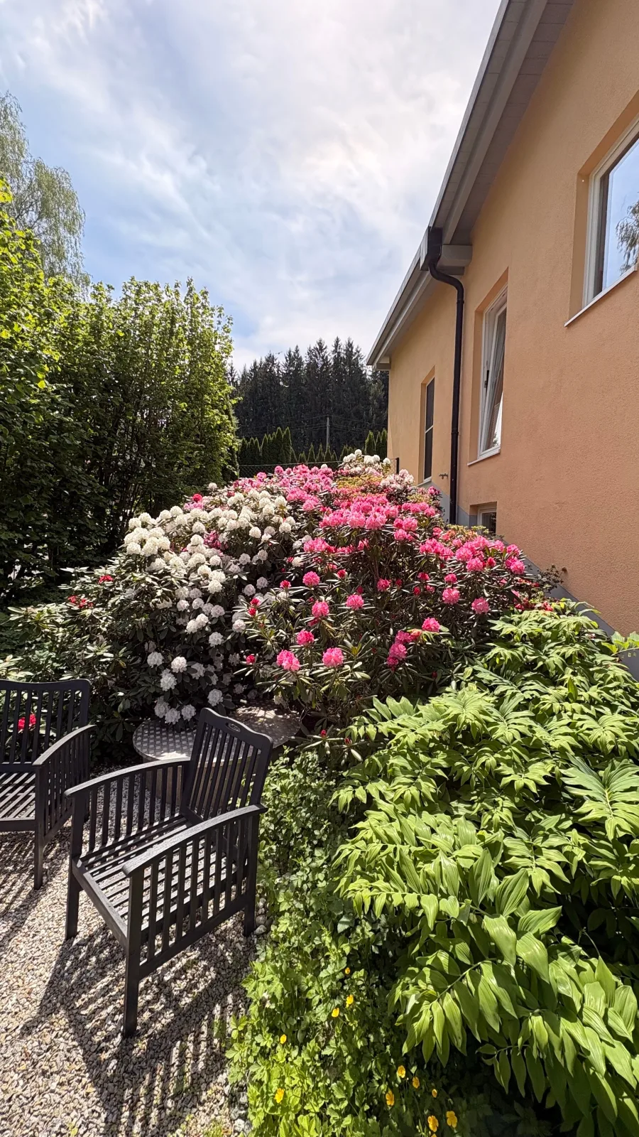 Am Wildbach bei Passau